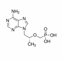(R)-9-(2-PHOSPHONOMETHOXYPROPYL)ADENINE