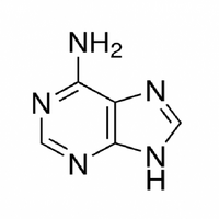 ADENINE