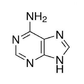 ADENINE