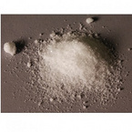 L-Carnitine Fumarate