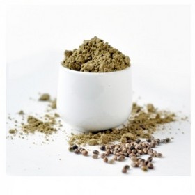 Hemp Protein