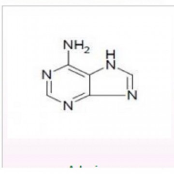 Adenine