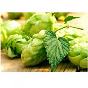 Hops Extract