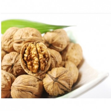 Black Walnut Hulls Powder Extract