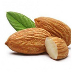 Almond (Bitter Apricot Seed) Extract