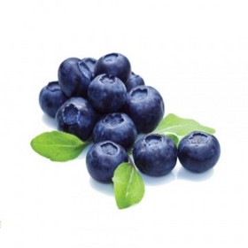 Blueberry Extract