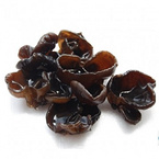 Auricularia Auricular Extract（Fungus）