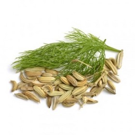 Fennel Seed Extract