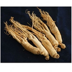 American Ginseng Extract