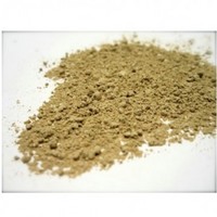 Astragalus Extract