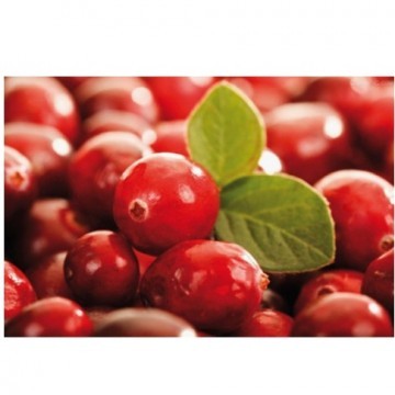 Cranberry Extract