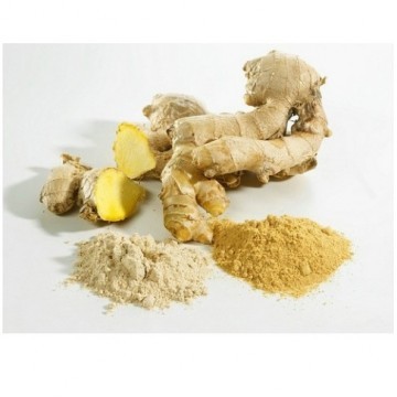 Ginger Root Extract