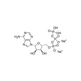 Adenosine 5'-triphosphate disodium salt