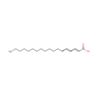 Conjugated Linoleic Acid