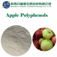 Apple extract Polyphenols
