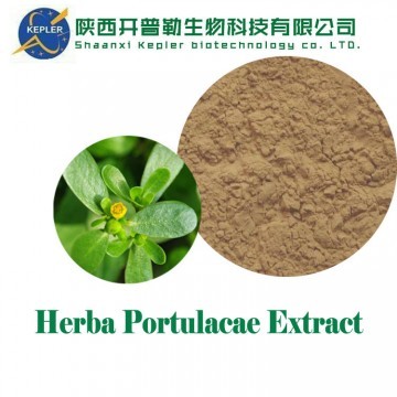 Purslane extract