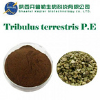 Tribulus terrestris extract