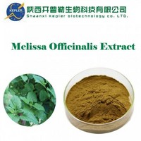 Melissa Officinalis Extract