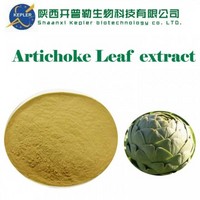 Artichoke Leaf extract