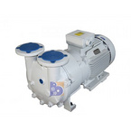 2 BV5131 water ring vacuum pump