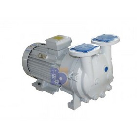 2 BV5111 water ring vacuum pump