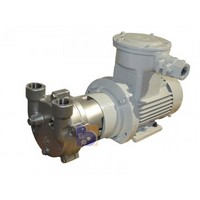 2 BV2061 - Ex liquid ring vacuum pump