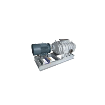 ZJQ2500 Series Air-cooling Roots Vacuum Pump