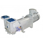 2 BV6121 water ring vacuum pump