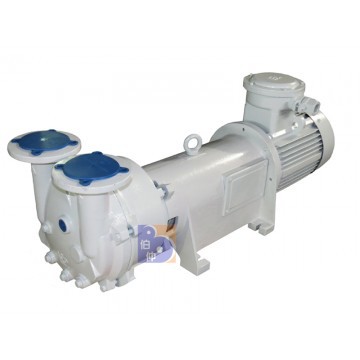 2 BV6121 water ring vacuum pump