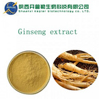 Ginseng extract