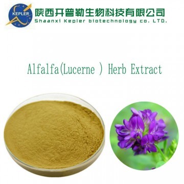 Alfalfa(Lucerne ) Herb Extract