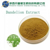 Dandelion Extract