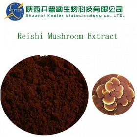 Reishi Mushroom Extract