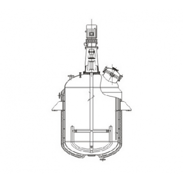 WJG stainless steel reactor