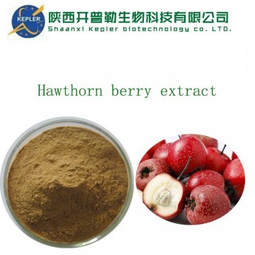 hawthorn berry extract