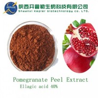 Pomegranate Peel Extract