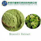 Broccoli Extract