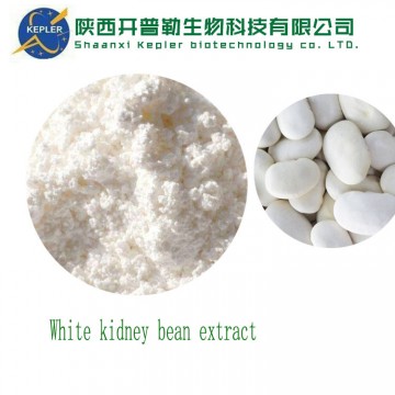 white kidney bean extract