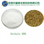 Lotus Leaf Extract