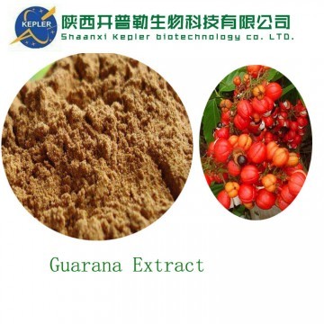 Guarana Extract