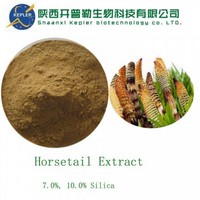 horsetail extract