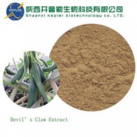 Devil’s Claw Extract