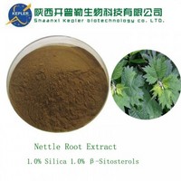 nettle root extract