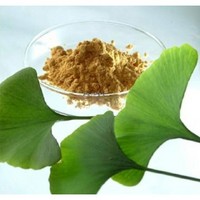 Ginko Biloba Extract,GBE