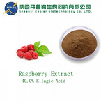 raspberry extract