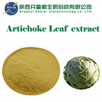 Artichoke Extract