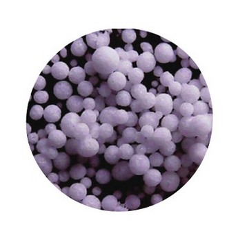 Spray dried lactose