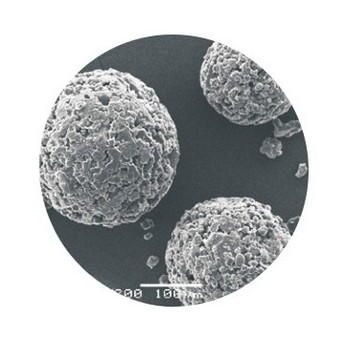 Starch lactose complex