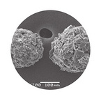 Microcrystalline cellulose lactose complex