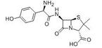 Amoxicillin Trihydrate Compacted